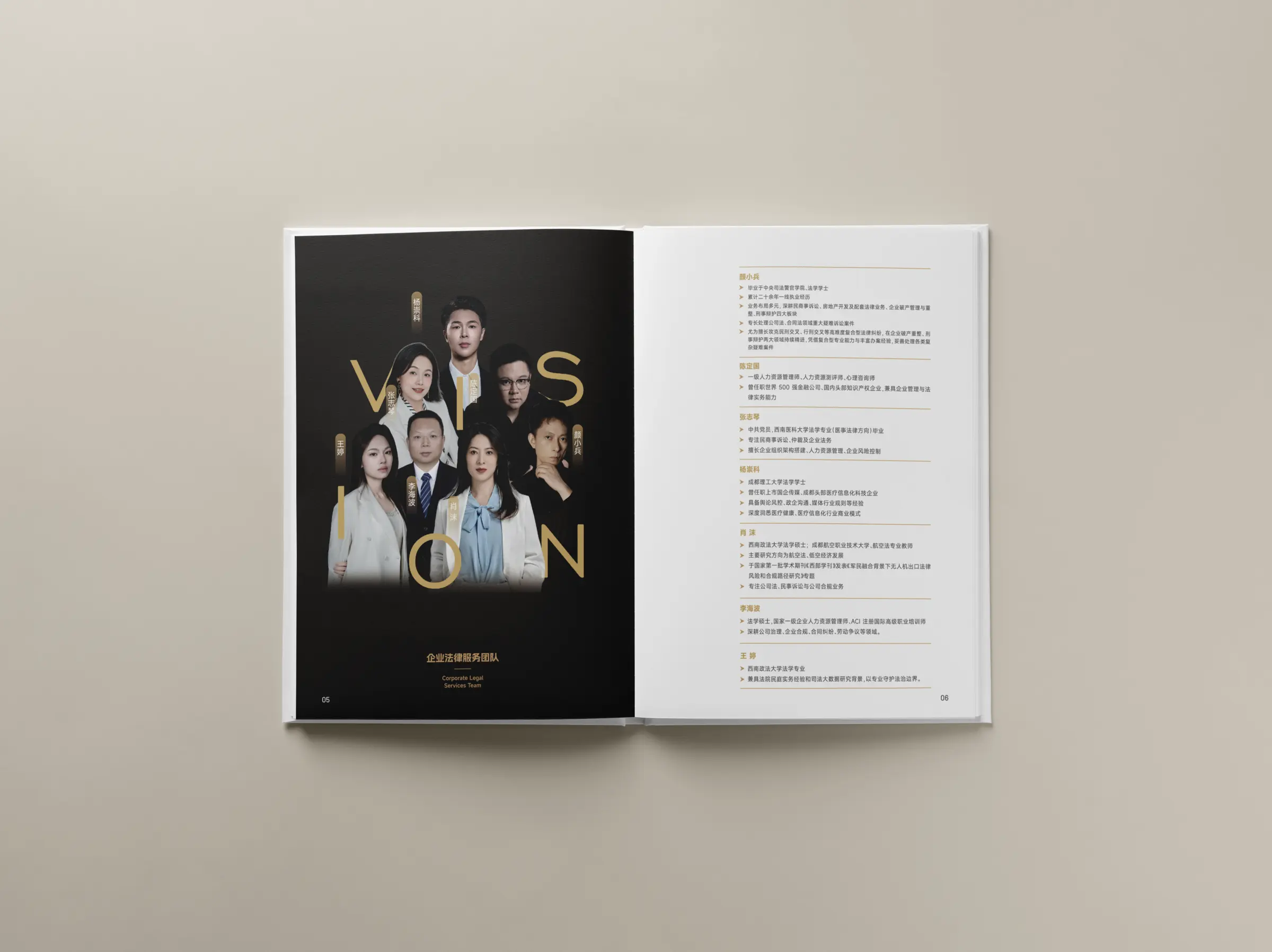维信律师事务所品牌画册内页 4
